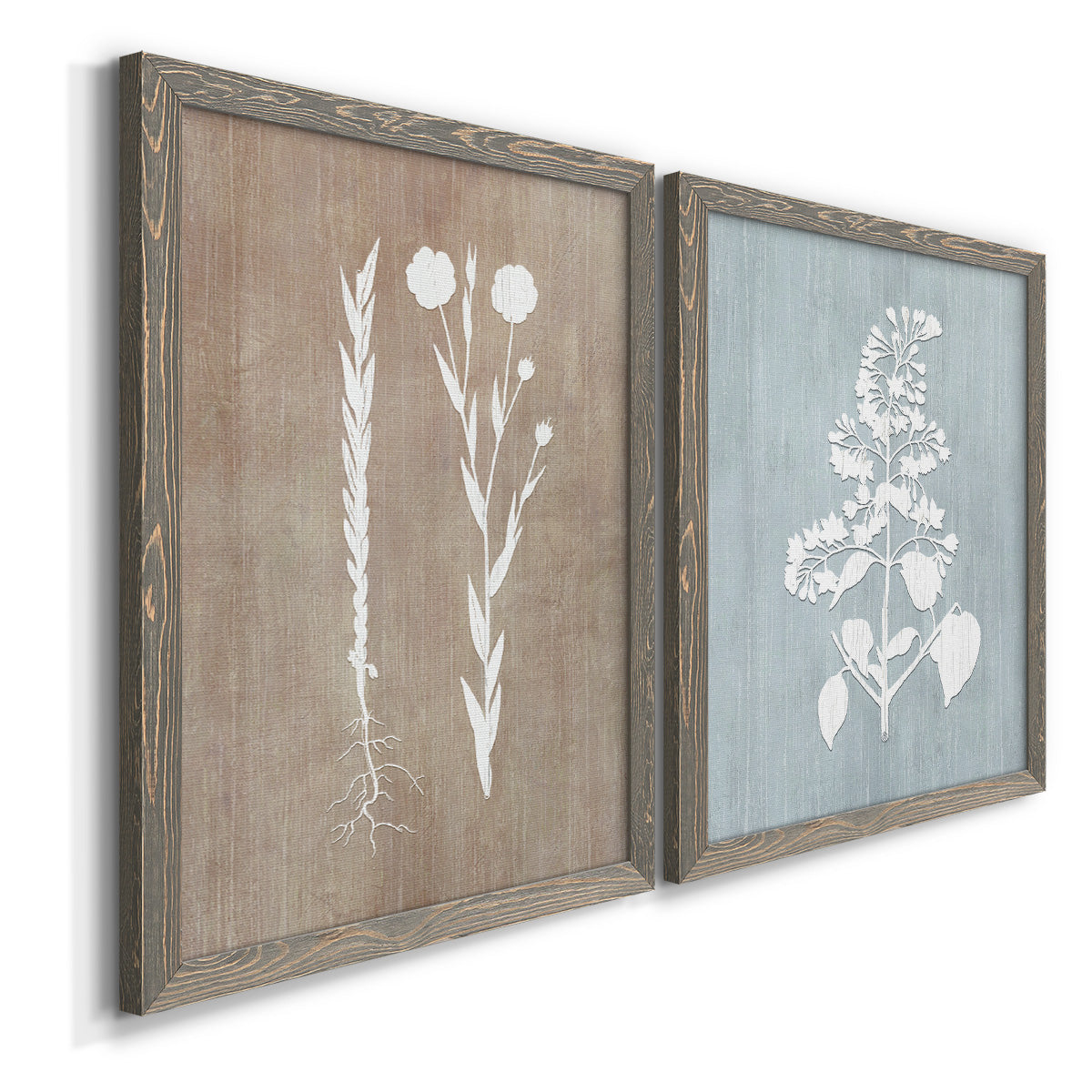 Angled view of a set of two gray barnwood framed canvas prints featuring two rustic minimalist botanical prints featuring white botanical silhouettes on softly weathered neutral backgrounds.