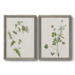 Set of two gray barnwood framed canvas prints featuring two rustic minimalist botanical studies featuring delicate wildflower and leafy stems.