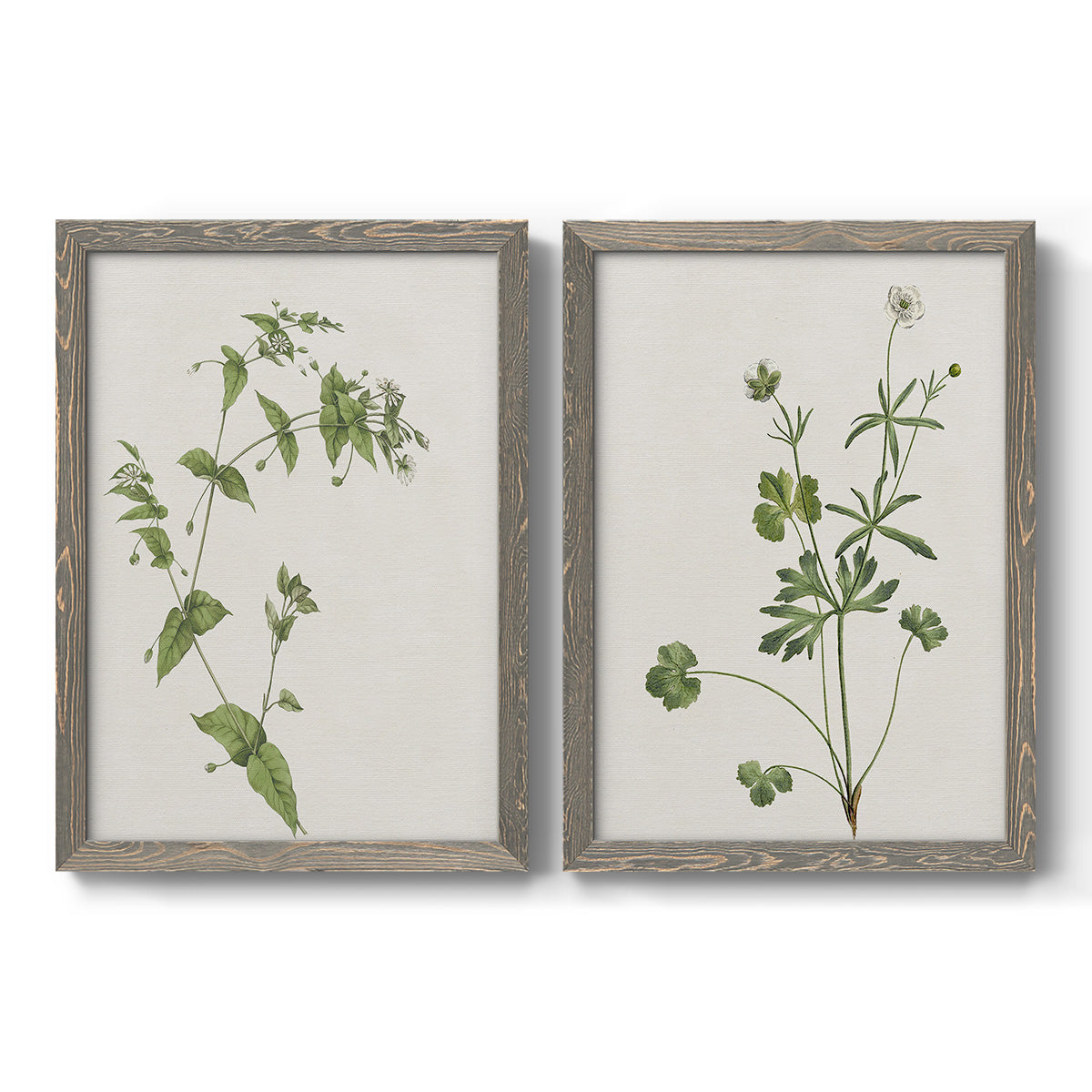 Set of two gray barnwood framed canvas prints featuring two rustic minimalist botanical studies featuring delicate wildflower and leafy stems.