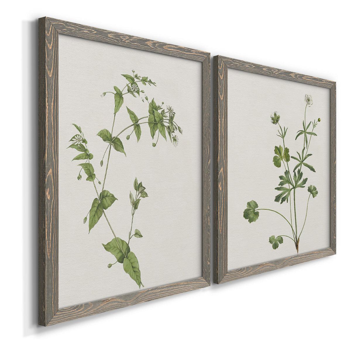 Angled view of a set of two gray barnwood framed canvas prints featuring two rustic minimalist botanical studies featuring delicate wildflower and leafy stems.