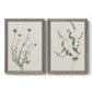 Set of two gray barnwood framed canvas prints featuring two rustic minimalist botanical studies featuring delicate wildflower and leafy stems.