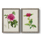 Set of two gray barnwood framed canvas prints featuring two vintage botanical plate illustrations featuring pink flowering plant specimens.