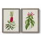 Set of two gray barnwood framed canvas prints featuring two vintage botanical plate illustrations featuring pink flowering plant specimens.