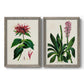 Set of two gray barnwood framed canvas prints featuring two antique botanical plate illustrations featuring colorful flowering plant specimens.