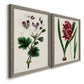 Angled view of a set of two gray barnwood framed canvas prints featuring two antique botanical plate illustrations featuring colorful flowering plant specimens.