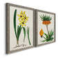 Angled view of a set of two gray barnwood framed canvas prints featuring two antique botanical plate illustrations featuring colorful flowering plant specimens.