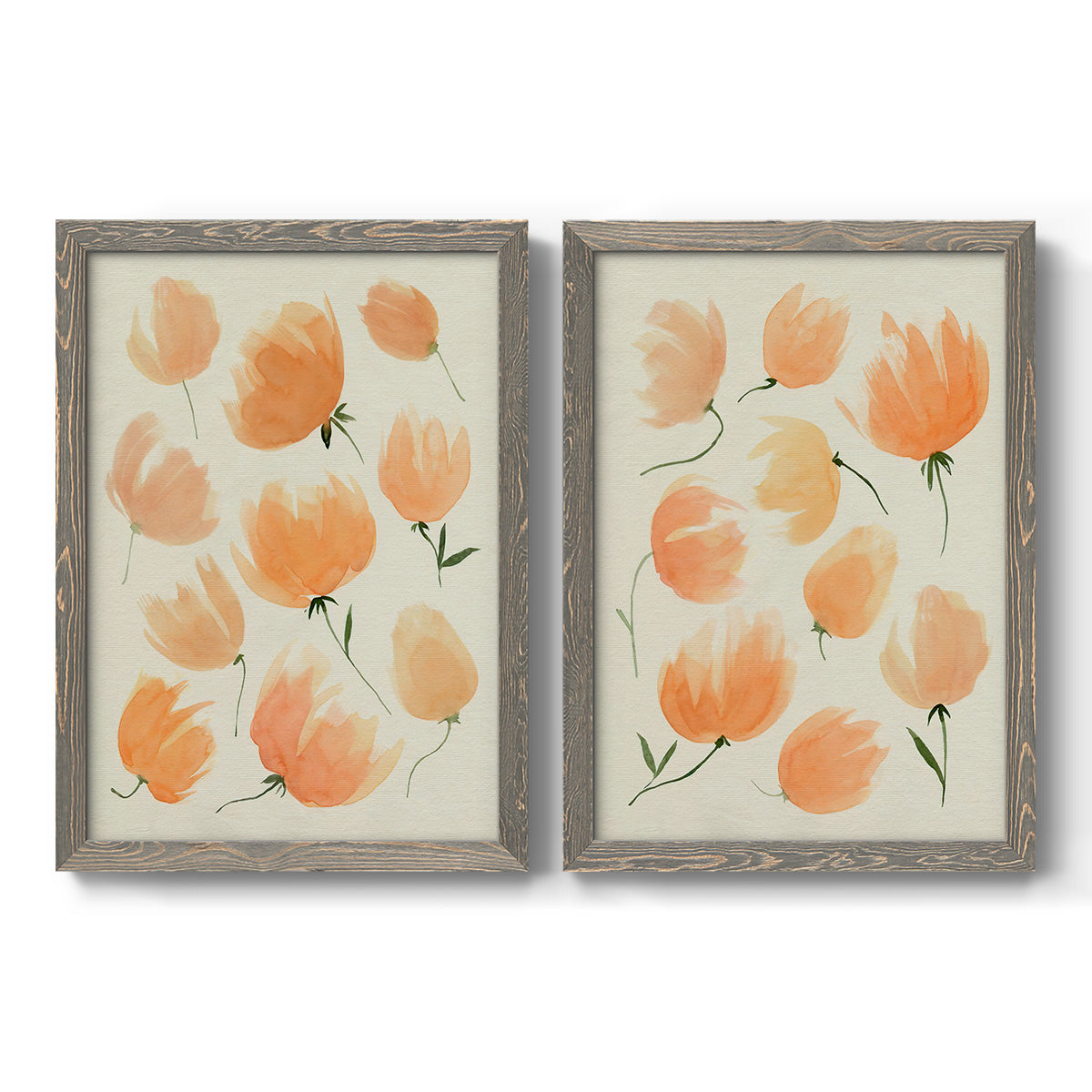 Set of two gray barnwood framed canvas prints featuring two airy watercolor floral paintings featuring loose peach-orange tulip-like blossoms.