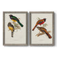 Set of two gray barnwood framed canvas prints featuring two vintage ornithological illustrations featuring colorful tropical birds perched on leafy branches.