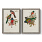 Set of two gray barnwood framed canvas prints featuring two vintage ornithological illustrations featuring colorful tropical birds perched on leafy branches.