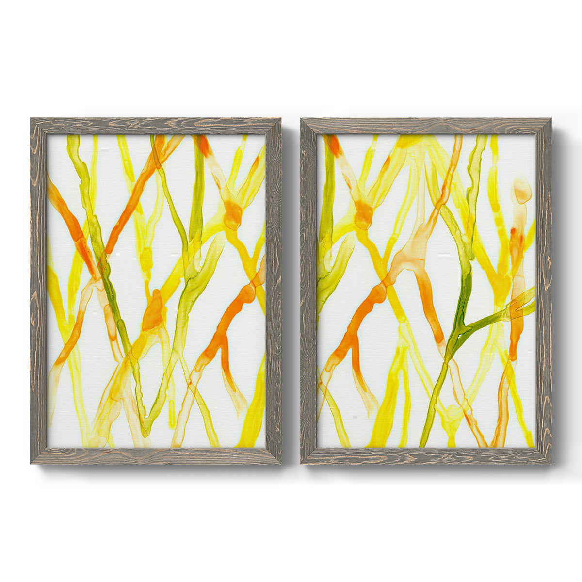 Set of two gray barnwood framed canvas prints featuring two fluid organic abstracts featuring branching watercolor lines drifting across white.