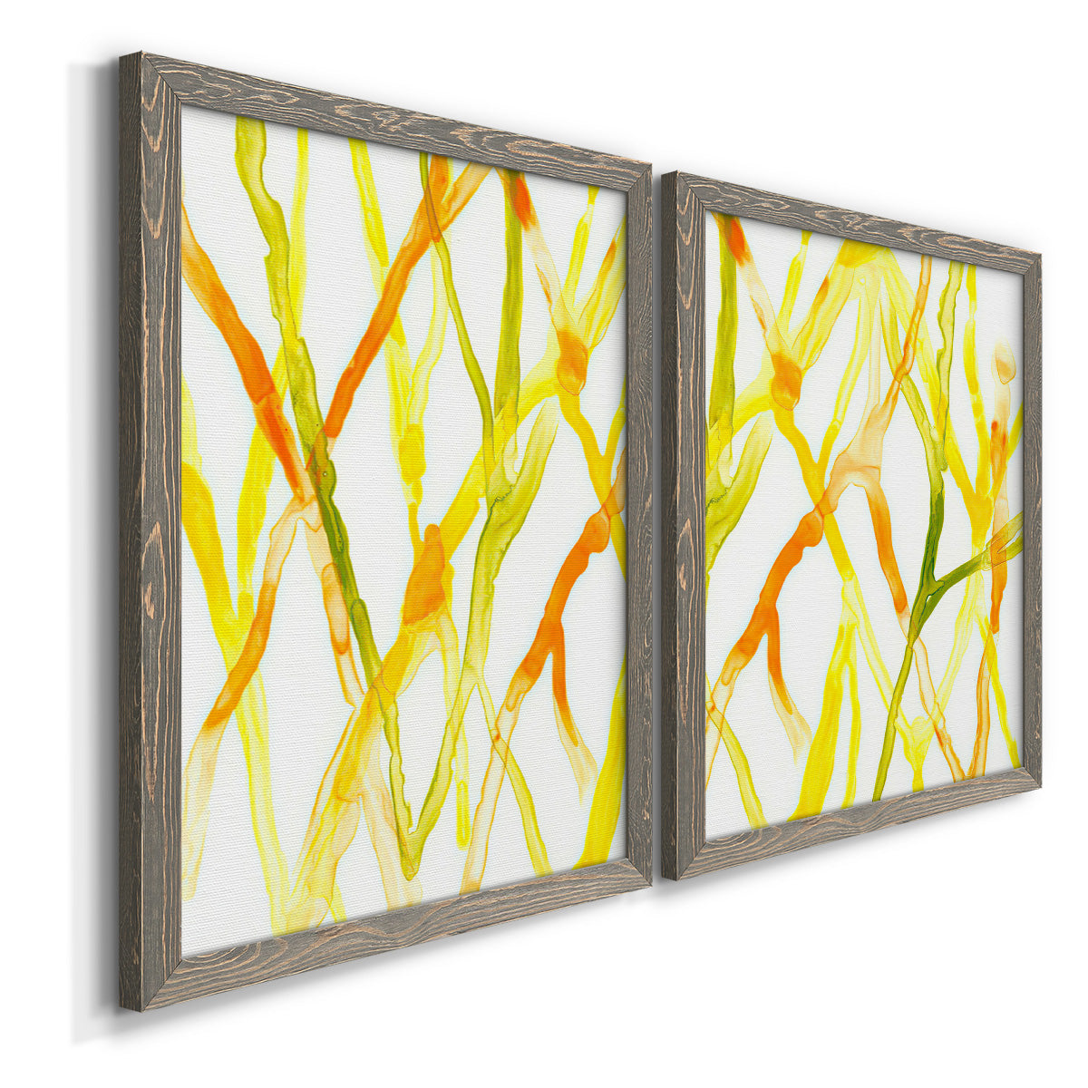 Angled view of a set of two gray barnwood framed canvas prints featuring two fluid organic abstracts featuring branching watercolor lines drifting across white.