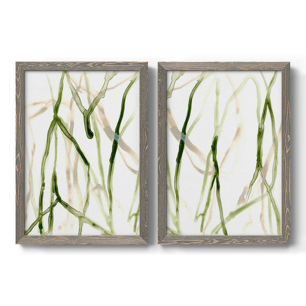 Set of two gray barnwood framed canvas prints featuring two fluid organic abstracts featuring branching watercolor lines drifting across white.