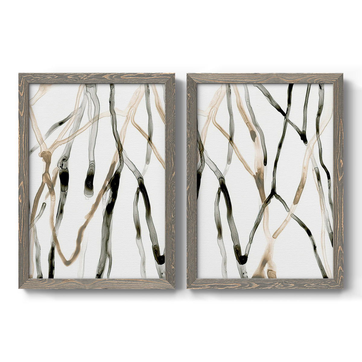 Set of two gray barnwood framed canvas prints featuring two fluid organic abstracts featuring branching watercolor lines drifting across white.