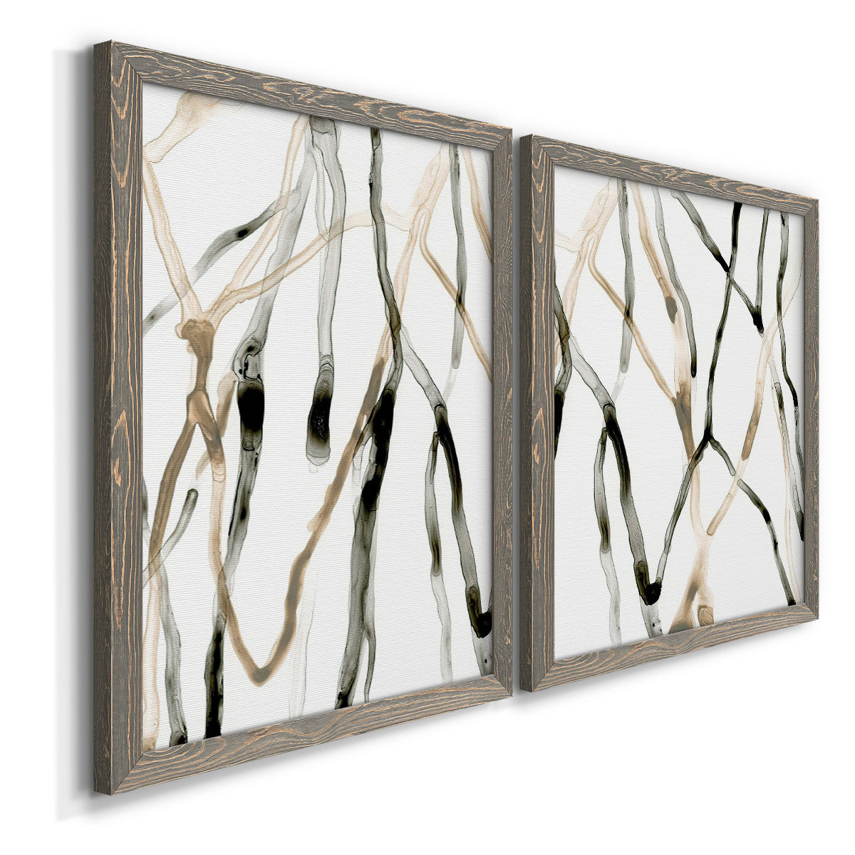Angled view of a set of two gray barnwood framed canvas prints featuring two fluid organic abstracts featuring branching watercolor lines drifting across white.