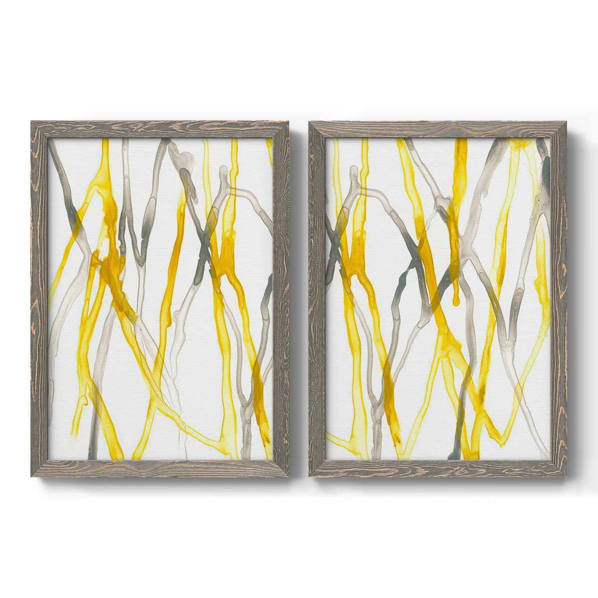 Set of two gray barnwood framed canvas prints featuring two fluid organic abstracts featuring branching watercolor lines drifting across white.