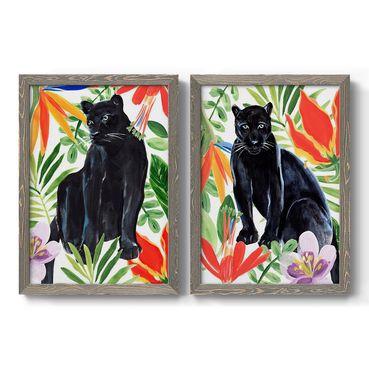 Set of two gray barnwood framed canvas prints featuring two vibrant watercolor wildlife illustrations featuring black panthers surrounded by colorful tropical foliage.
