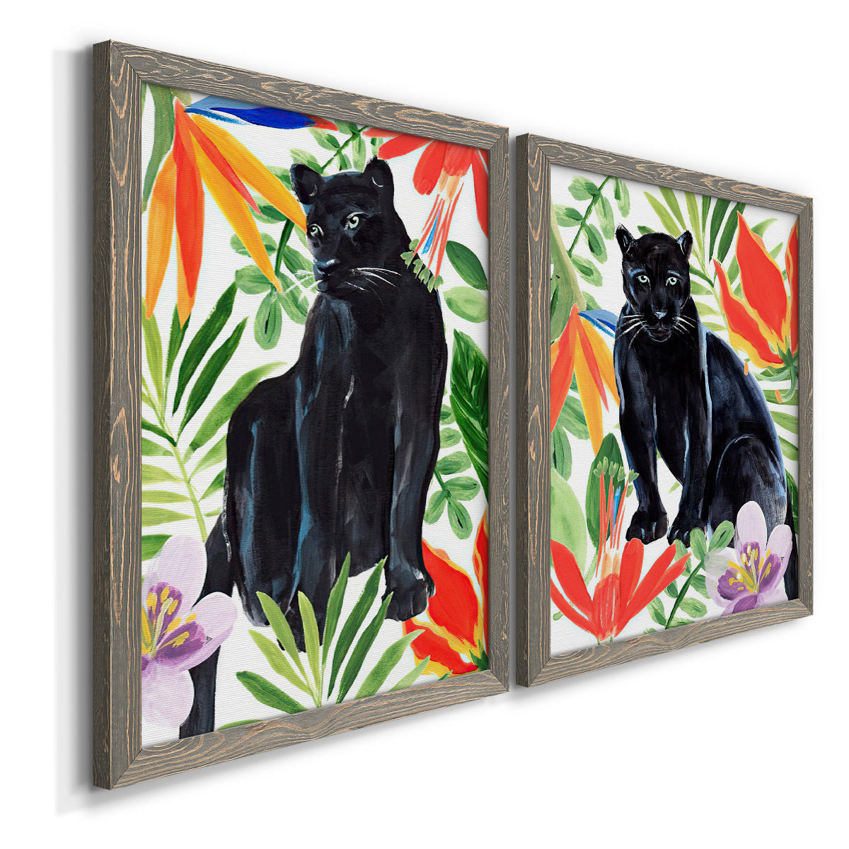 Angled view of a set of two gray barnwood framed canvas prints featuring two vibrant watercolor wildlife illustrations featuring black panthers surrounded by colorful tropical foliage.
