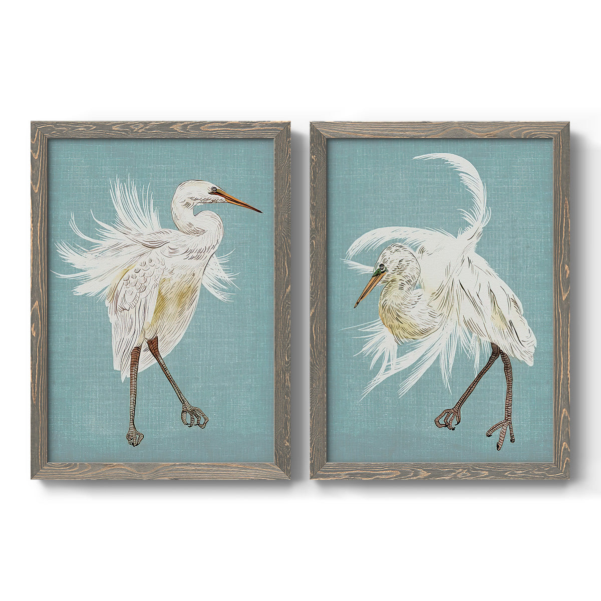 Set of two gray barnwood framed canvas prints featuring two decorative bird illustrations featuring white herons displaying long windswept feathers.