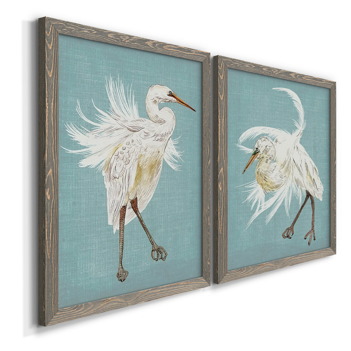 Angled view of a set of two gray barnwood framed canvas prints featuring two decorative bird illustrations featuring white herons displaying long windswept feathers.