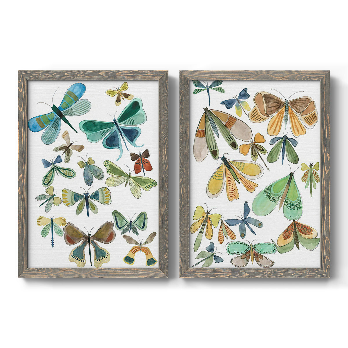 Set of two gray barnwood framed canvas prints featuring two decorative insect illustrations featuring collections of moths and butterflies.