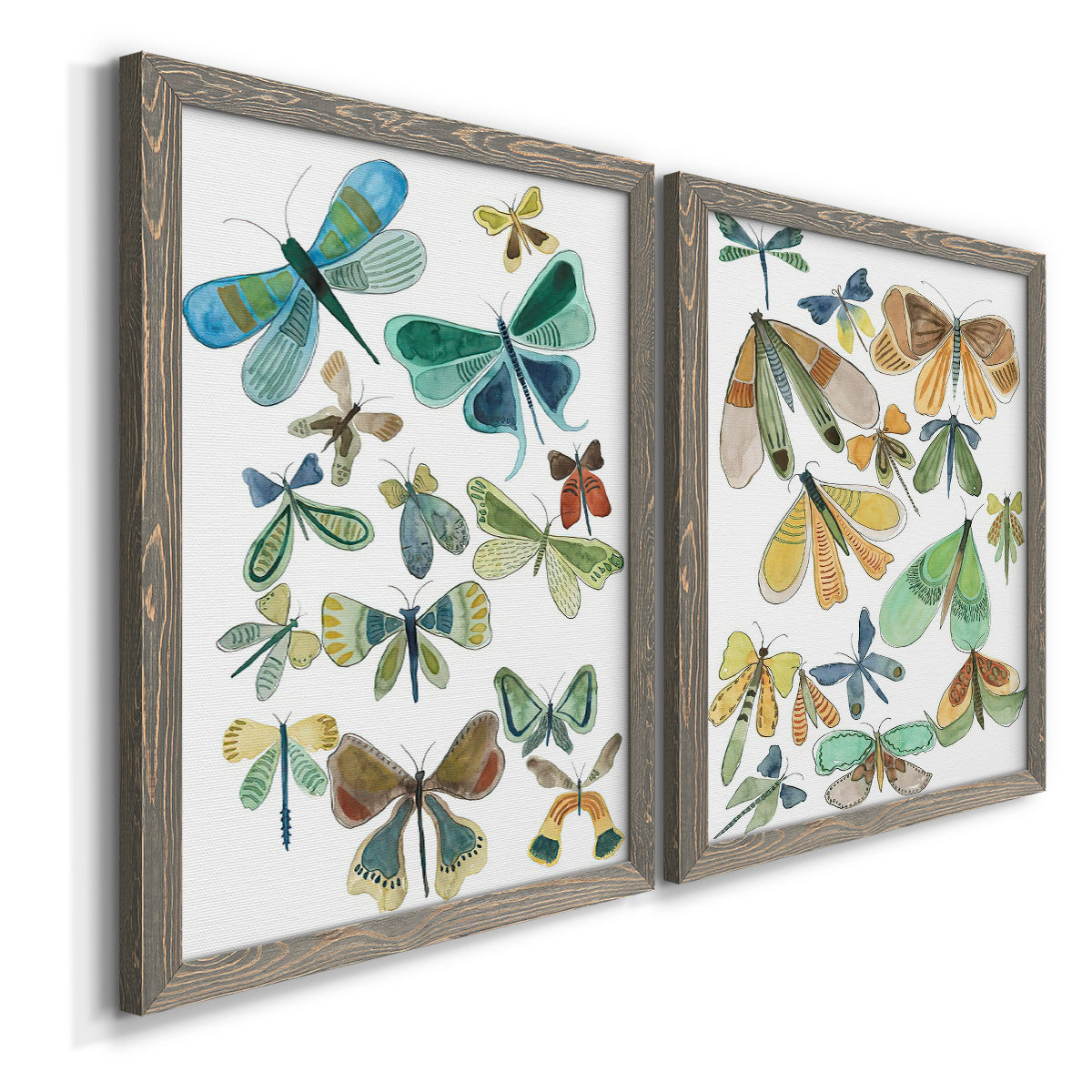 Angled view of a set of two gray barnwood framed canvas prints featuring two decorative insect illustrations featuring collections of moths and butterflies.