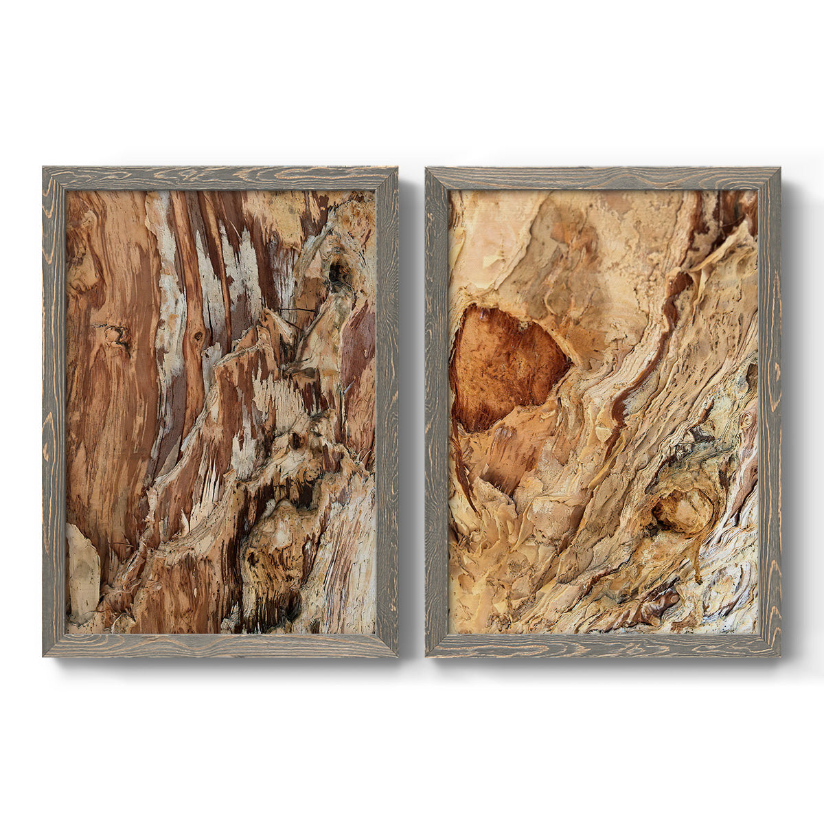 Set of two gray barnwood framed canvas prints featuring two rustic nature photography featuring close-up tree bark textures.
