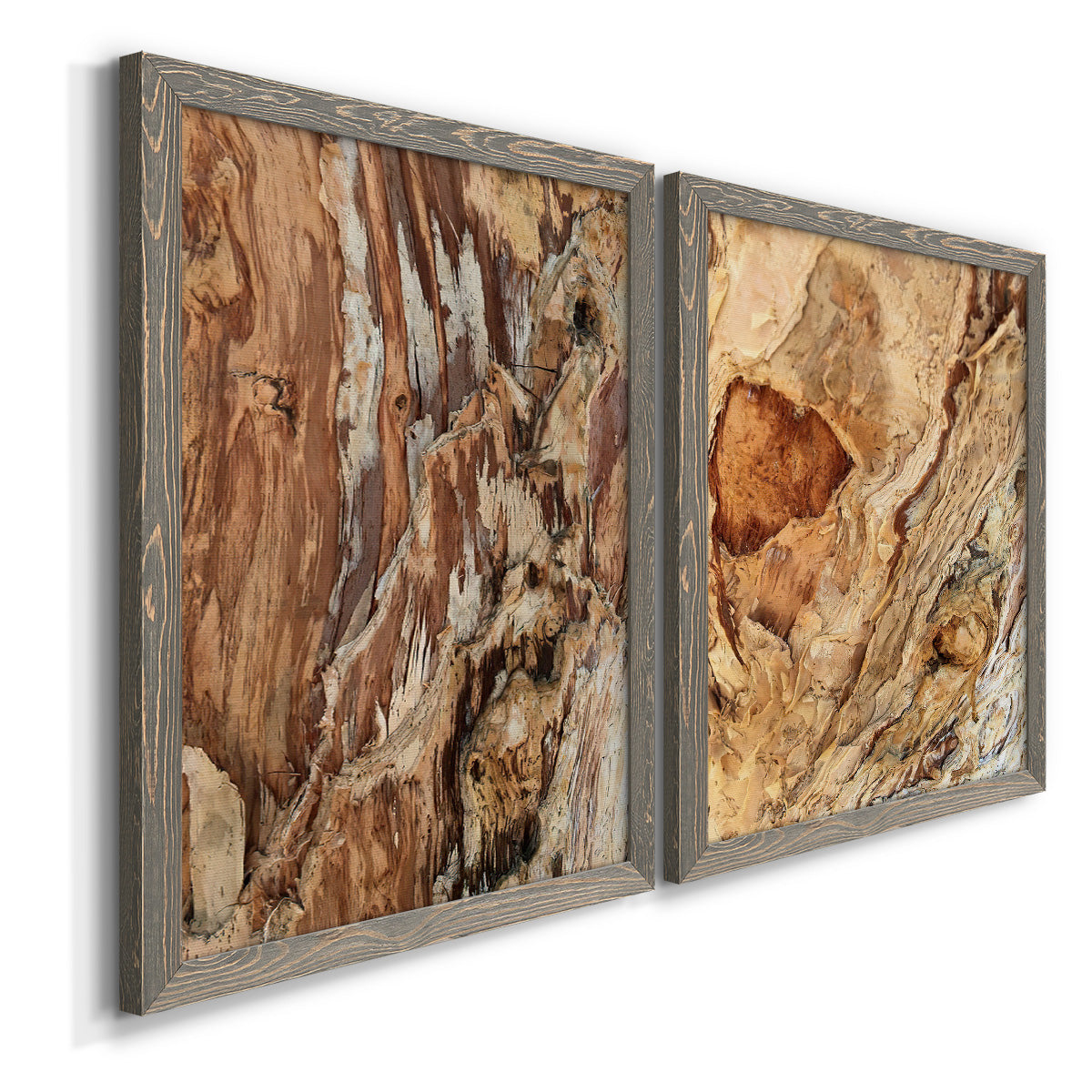 Angled view of a set of two gray barnwood framed canvas prints featuring two rustic nature photography featuring close-up tree bark textures.