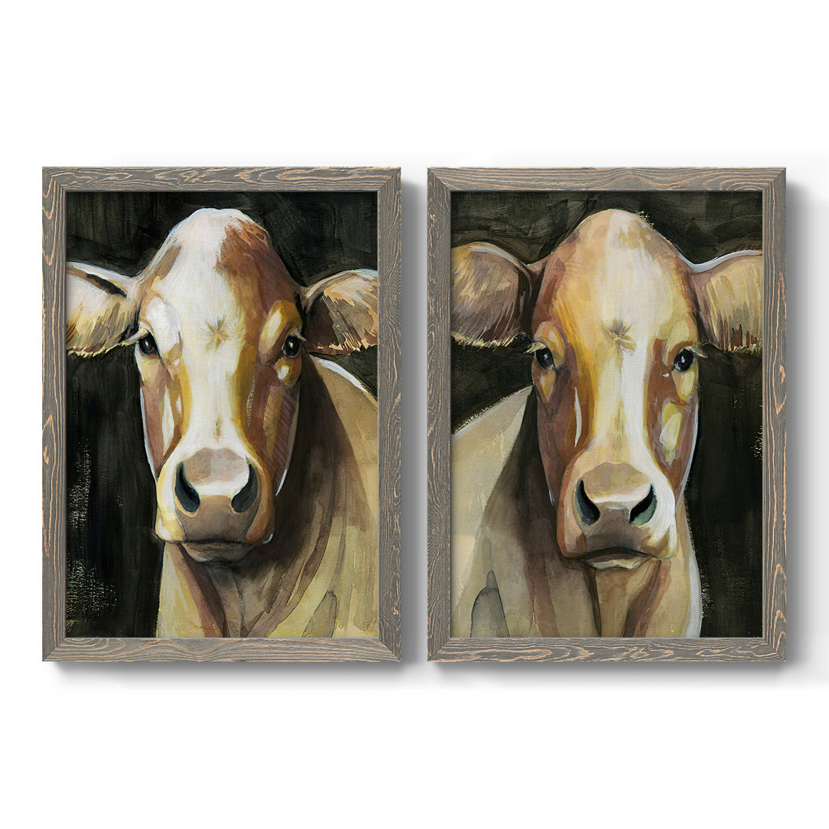 Set of two gray barnwood framed canvas prints featuring two painterly farm-animal portraits featuring close-up portraits of gentle brown cows.