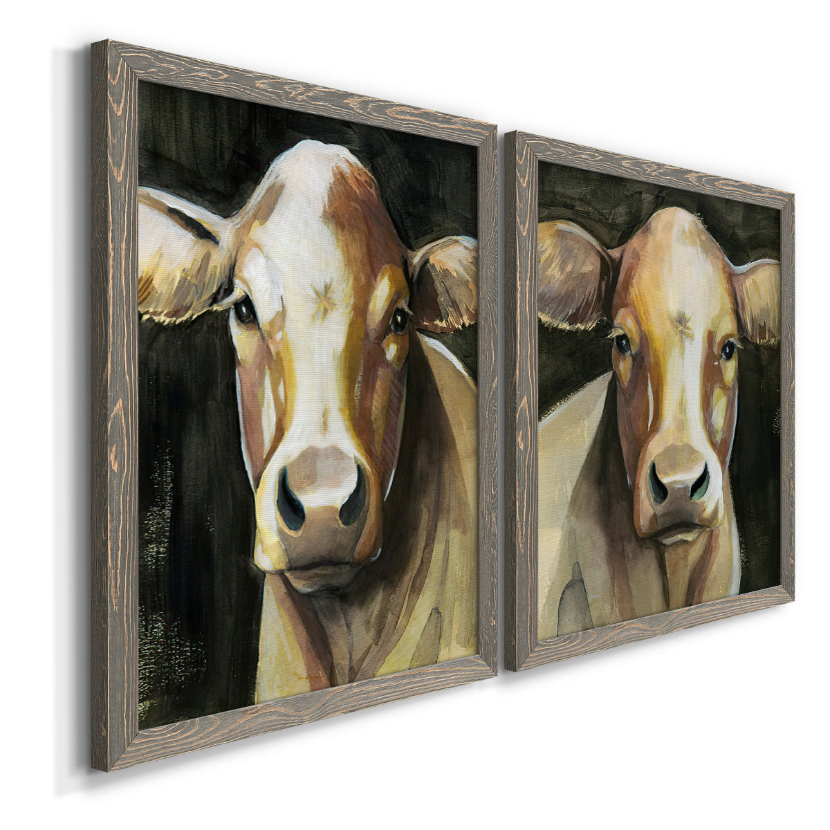 Angled view of a set of two gray barnwood framed canvas prints featuring two painterly farm-animal portraits featuring close-up portraits of gentle brown cows.