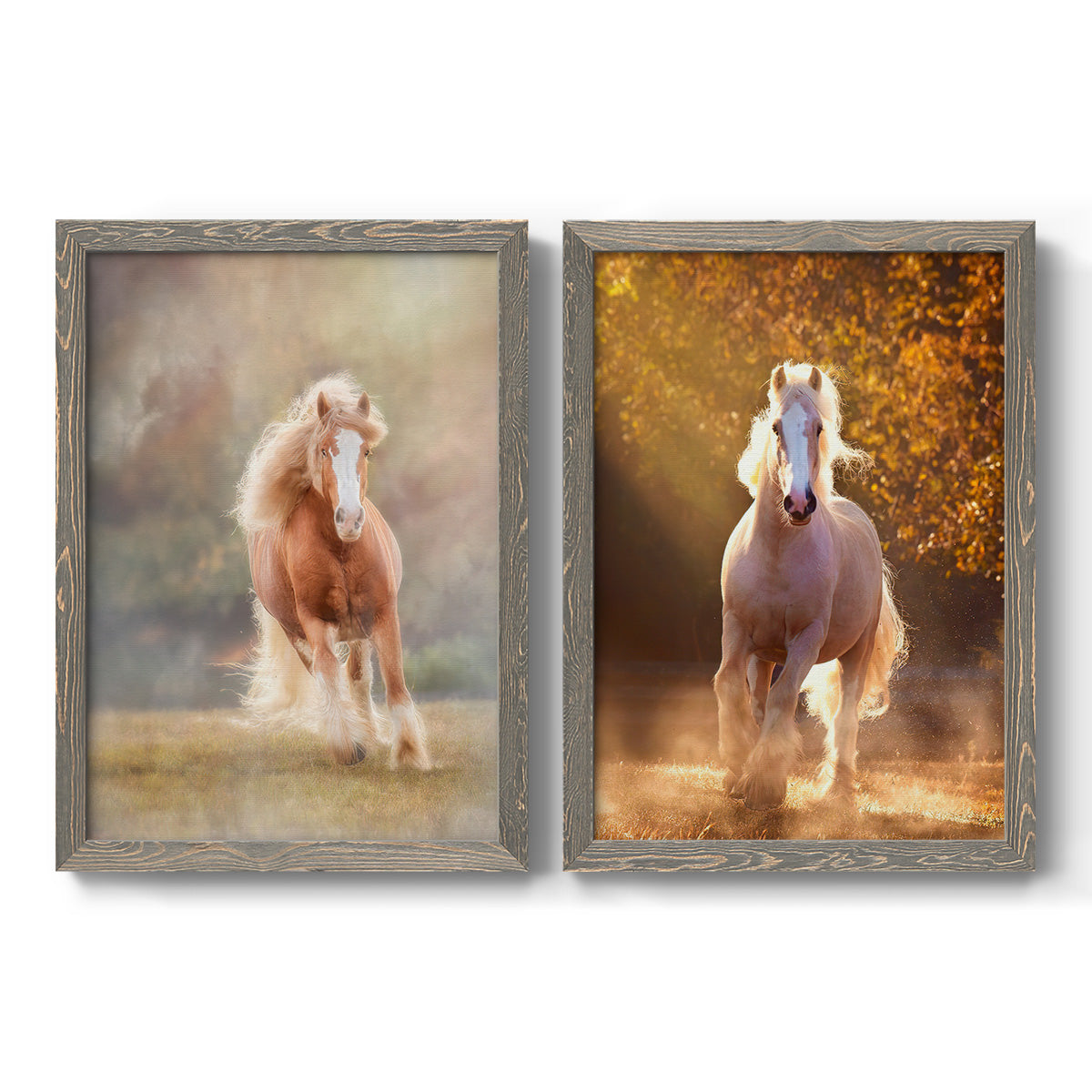 Set of two gray barnwood framed canvas prints featuring two dramatic equestrian photography featuring horses running through misty autumn light.
