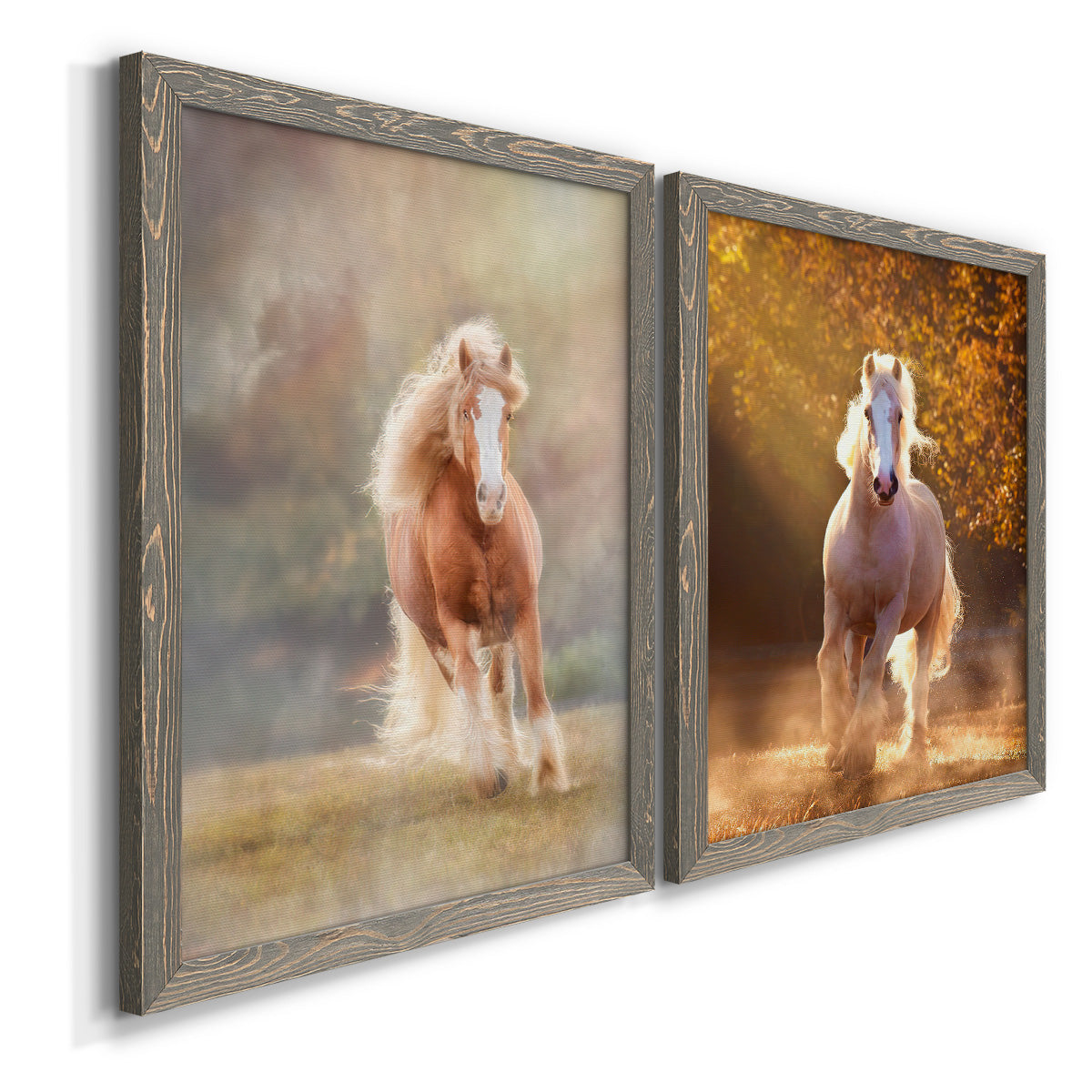 Angled view of a set of two gray barnwood framed canvas prints featuring two dramatic equestrian photography featuring horses running through misty autumn light.