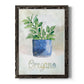 Potted Oregano - Barnwood Framed Canvas Print