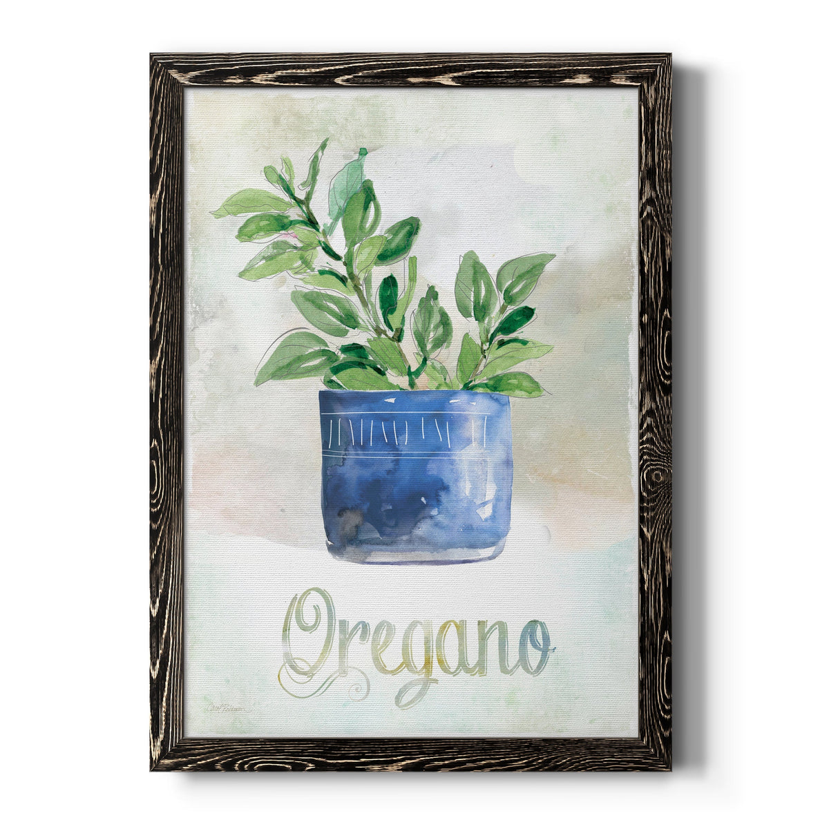 Potted Oregano - Barnwood Framed Canvas Print