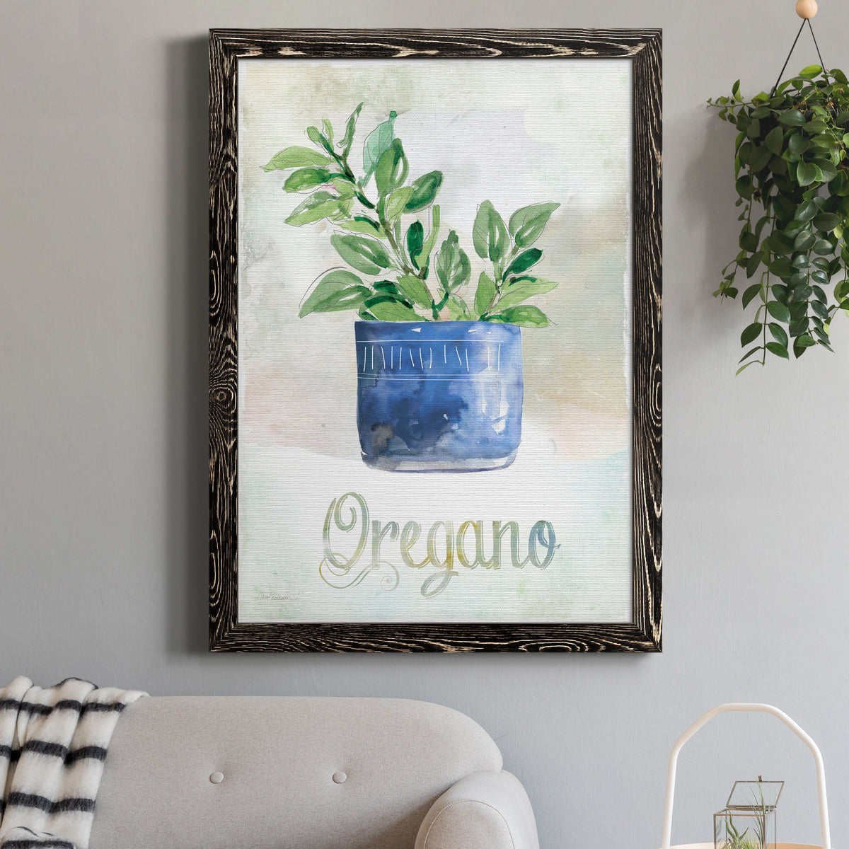 Potted Oregano - Barnwood Framed Canvas Print