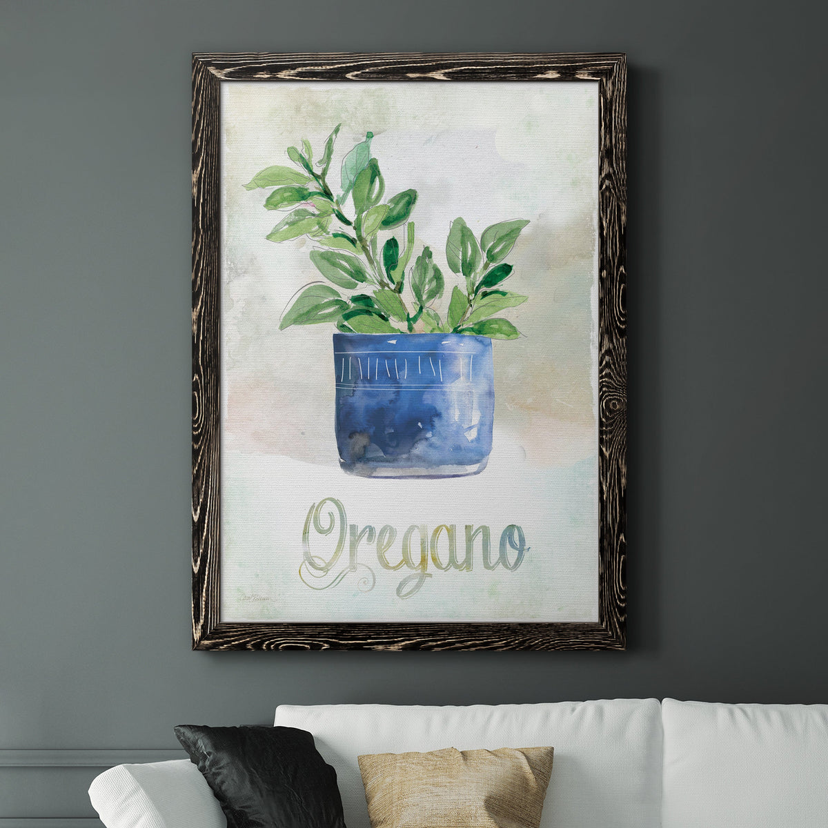Potted Oregano - Barnwood Framed Canvas Print