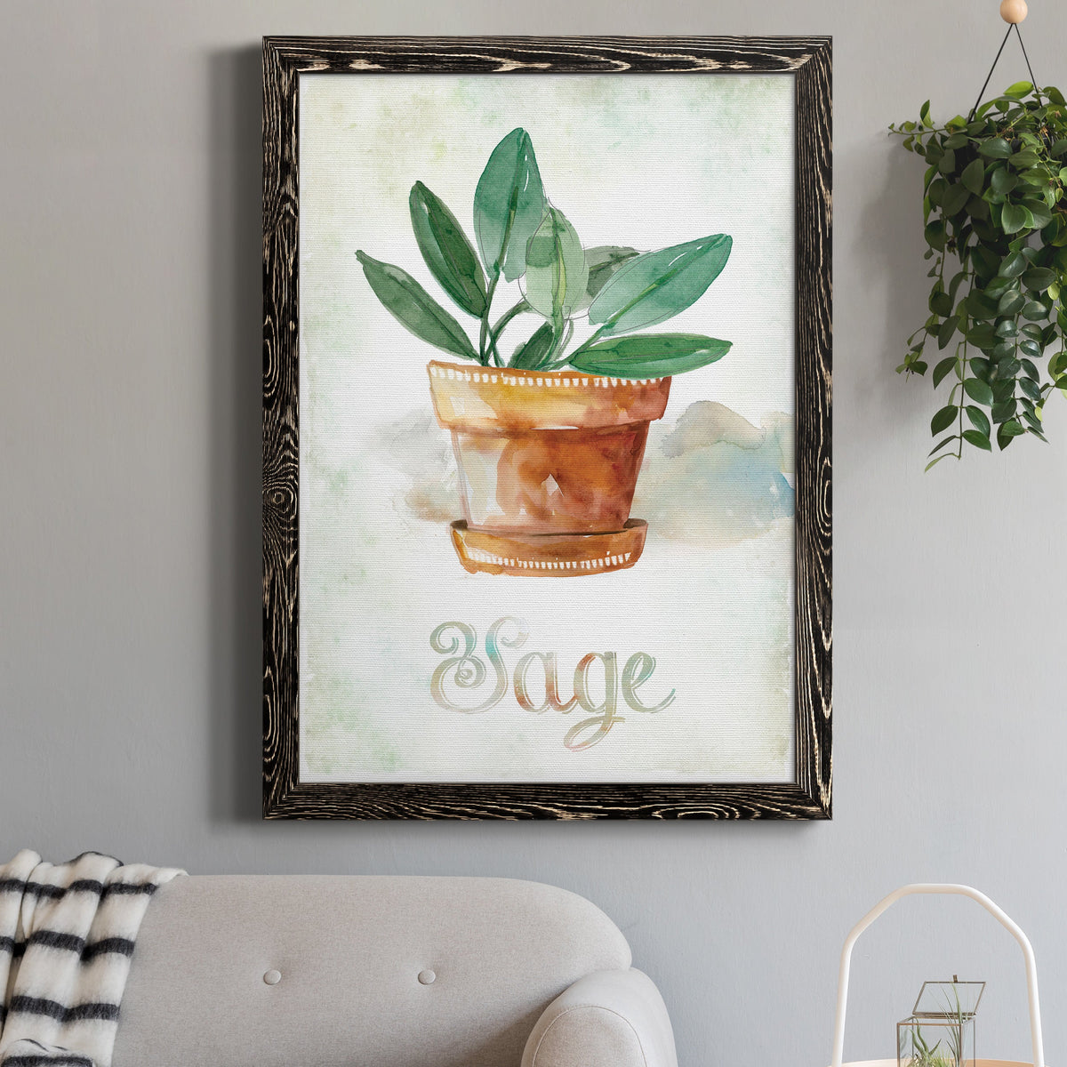 Potted Sage - Barnwood Framed Canvas Print