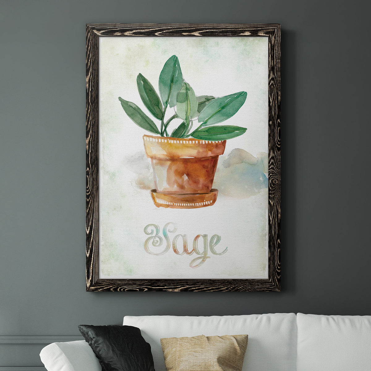 Potted Sage - Barnwood Framed Canvas Print