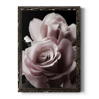 Rose Noir II - Barnwood Framed Canvas Print