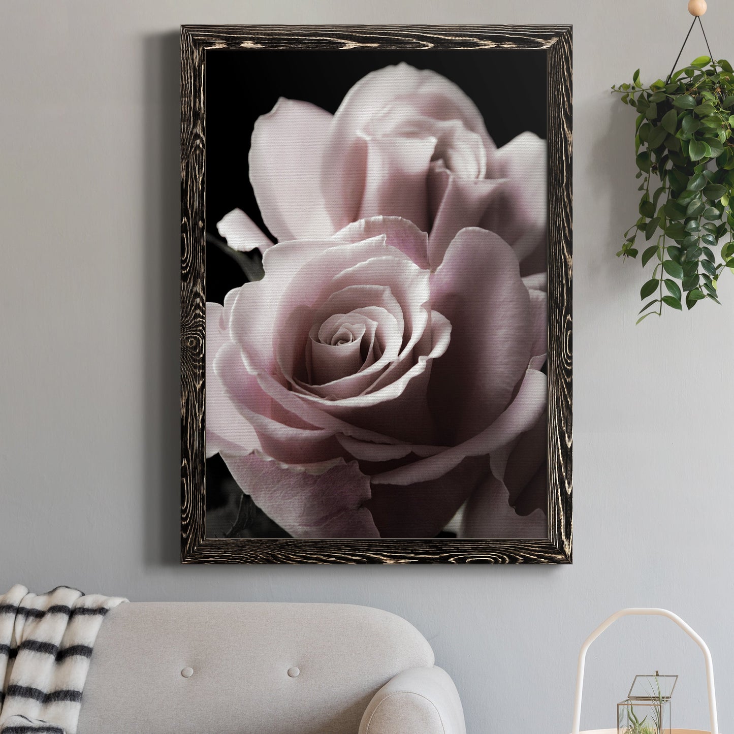 Rose Noir II - Barnwood Framed Canvas Print