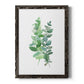 Eucalyptus II - Barnwood Framed Canvas Print