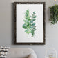 Eucalyptus II - Barnwood Framed Canvas Print