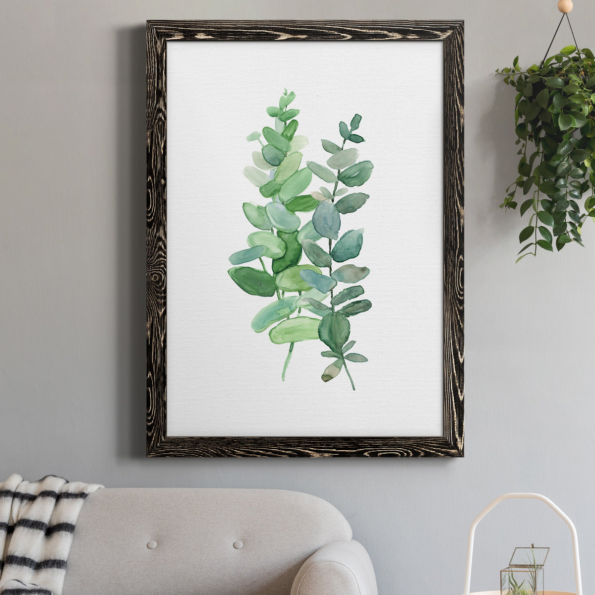 Eucalyptus II - Barnwood Framed Canvas Print
