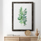 Eucalyptus II - Barnwood Framed Canvas Print