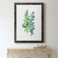 Eucalyptus II - Barnwood Framed Canvas Print
