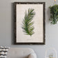 Palm Botanical II - Barnwood Framed Canvas Print