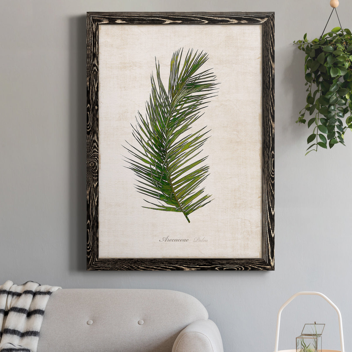 Palm Botanical II - Barnwood Framed Canvas Print