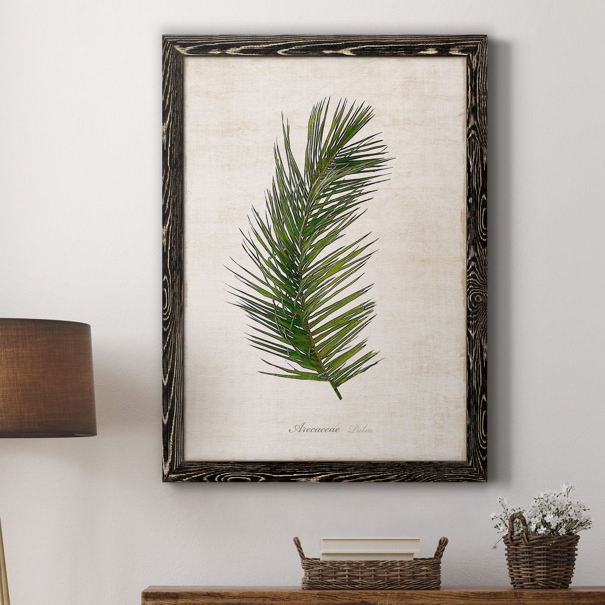 Palm Botanical II - Barnwood Framed Canvas Print