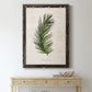 Palm Botanical II - Barnwood Framed Canvas Print
