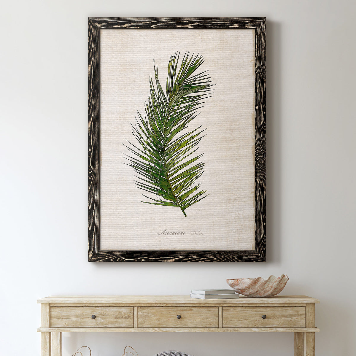 Palm Botanical II - Barnwood Framed Canvas Print