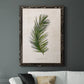 Palm Botanical II - Barnwood Framed Canvas Print